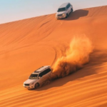 The Half-Day Safari: Ride The Qatar Dunes