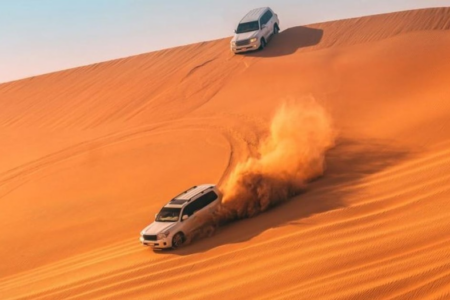 The Half-Day Safari: Ride The Qatar Dunes